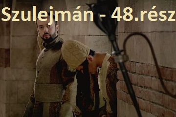 Model 13